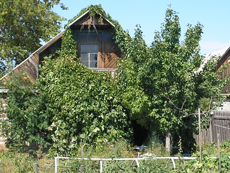 8 линия Темирязева - Изображение #1, Объявление #765010