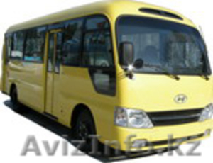 Продаём автобусы Дэу Daewoo Хундай Hyundai Киа Kia в Омске. Степногорск. - Изображение #6, Объявление #848993