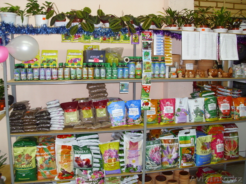 магазин "Мир цветов"  - Изображение #1, Объявление #498919